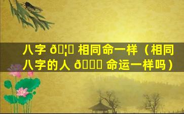 八字 🦍 相同命一样（相同八字的人 🐞 命运一样吗）